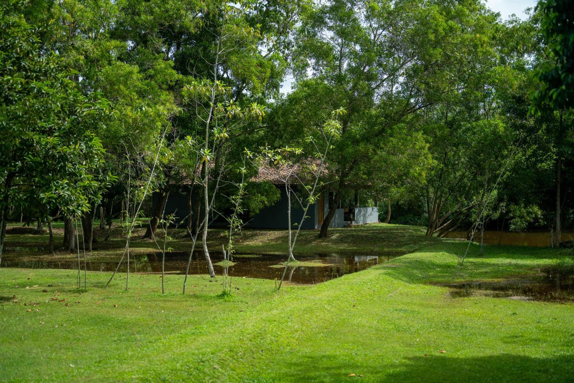 Wirdana Resort & Spa Boossa Ngoại thất bức ảnh