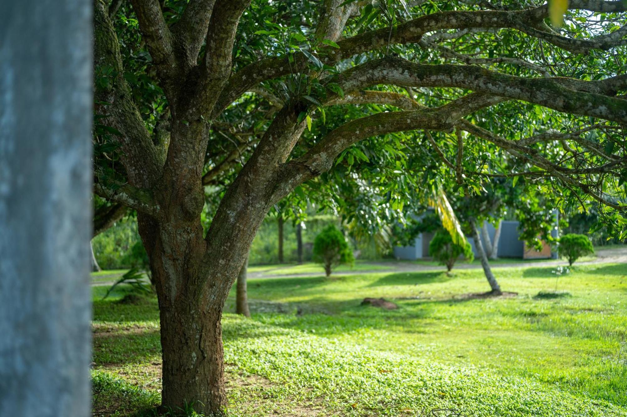 Wirdana Resort & Spa Boossa Ngoại thất bức ảnh